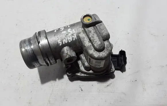 Renault Kangoo II Throttle valve 161A09794R