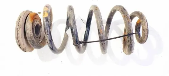 Rear coil spring