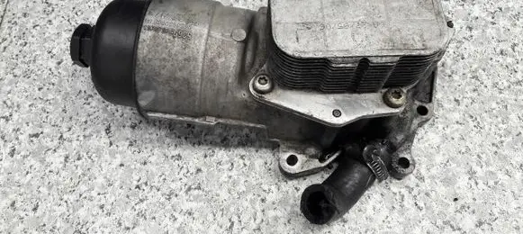 Peugeot 206+ Oil filter mounting bracket 9656969880