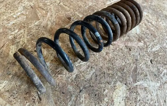 Rear coil spring