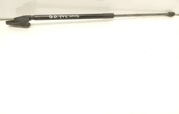 Tailgate/trunk strut/damper