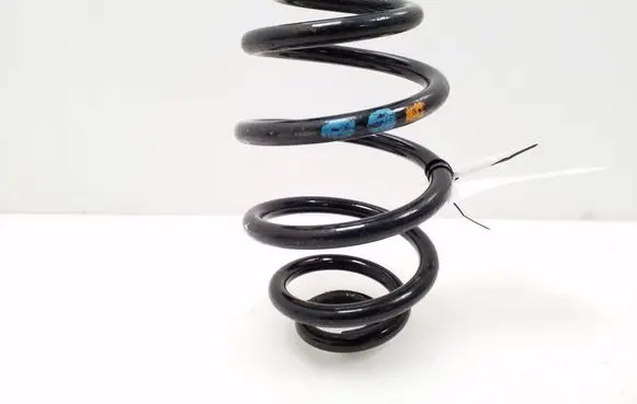 Volkswagen PASSAT B5 Rear coil spring 