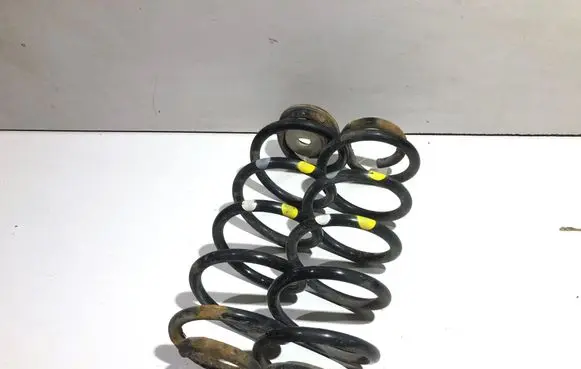 Rear coil spring