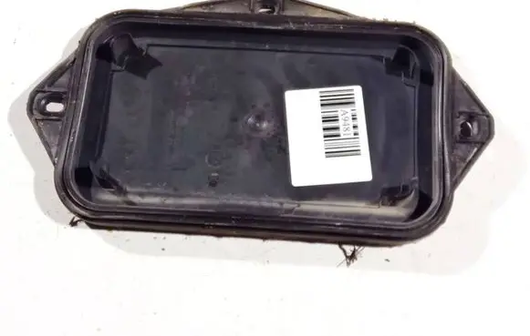Headlight/headlamp dust cover