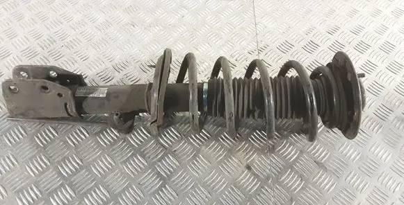 Opel Antara Front shock absorber with coil spring SA010B003
