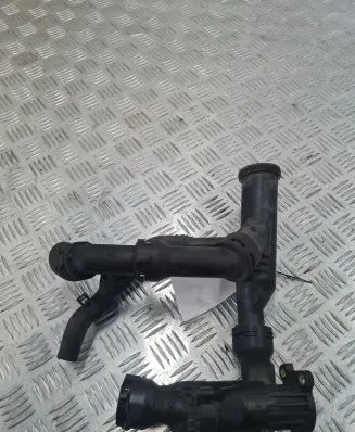 Thermostat/thermostat housing