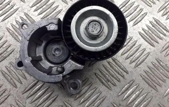 Peugeot 307 Alternator belt tensioner pulley T38206