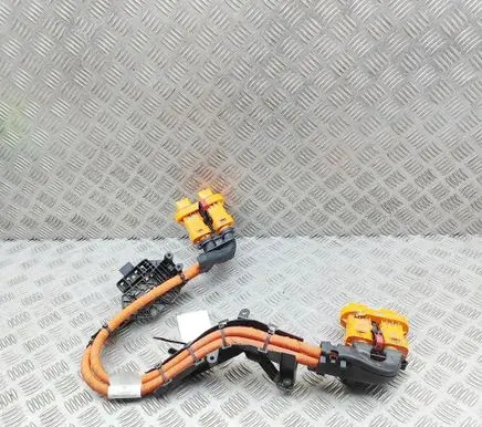 Audi Q4 e-tron Other wiring loom 1EA971015AK