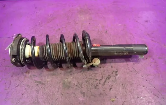 Skoda Octavia Mk2 (1Z) Front shock absorber with coil spring 