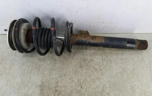 BMW 3 E46 Front shock absorber with coil spring 1096851