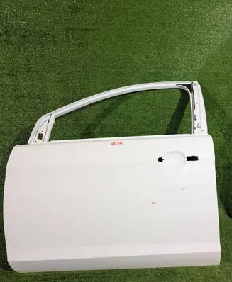Ford Focus Front door 