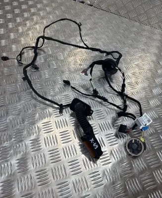 Audi A6 S6 C8 4K Front door wiring loom 4K5971030E