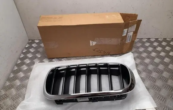 BMW X6 F16 Front grill 7373689