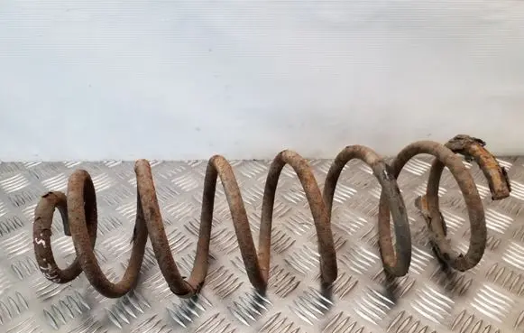 Citroen C8 Rear coil spring