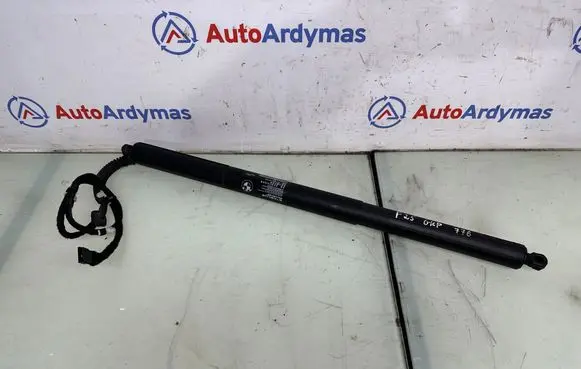 BMW X3 F25 Tailgate strut 7232003 51247232003
