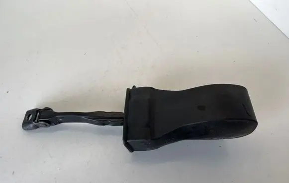 Volkswagen Tiguan Front door check strap stopper 5NA837267
