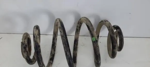 Volkswagen PASSAT B5.5 Rear coil spring