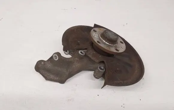 Volkswagen Tiguan Rear wheel hub spindle/knuckle 