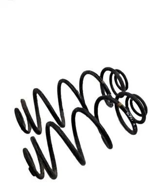Rear coil spring