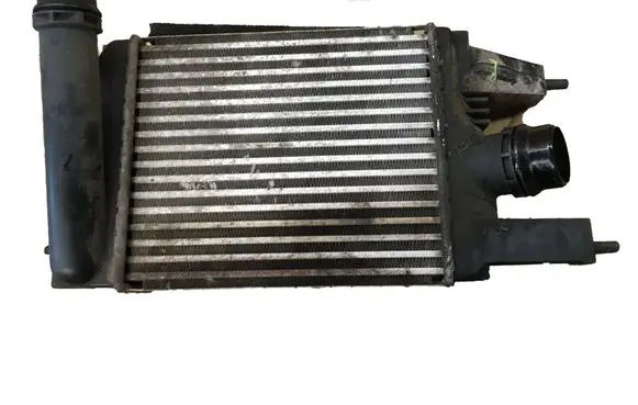 Nissan Juke I F15 Intercooler radiator 144613ZU0B