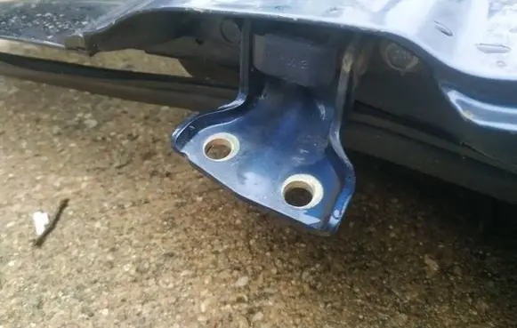 Rear door lower hinge