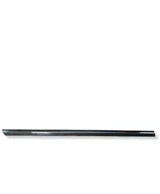 Dodge RAM 1500 DS Rear door trim (molding) 68247508AD