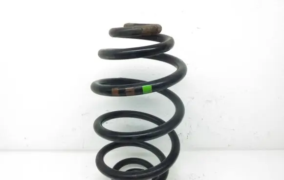 Volkswagen PASSAT B5 Rear coil spring