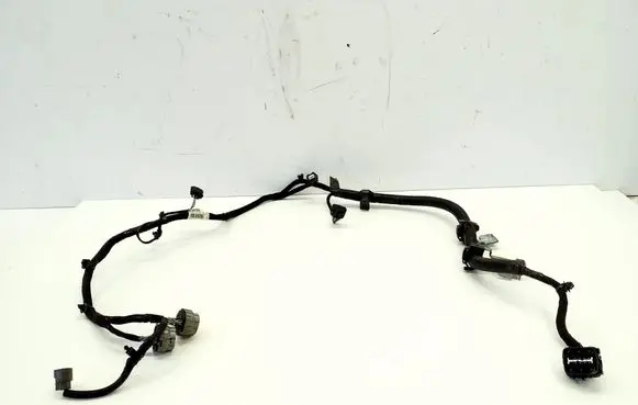 Nissan Leaf II (ZE1) Other wiring loom 240115SH00