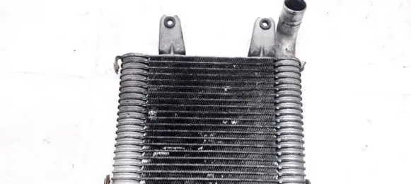 KIA Carnival Intercooler radiator 0k55313550