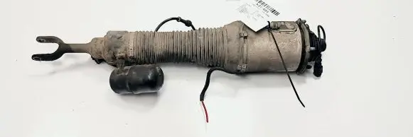Volkswagen Phaeton Front shock absorber/damper 3D0616039N
