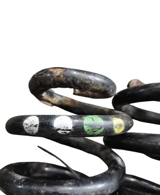 Rear coil spring