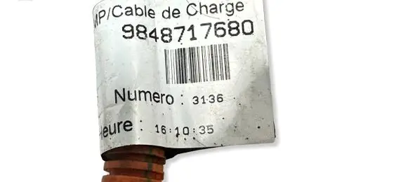 Peugeot 2008 II Electric car charging cable 9848717680 46194