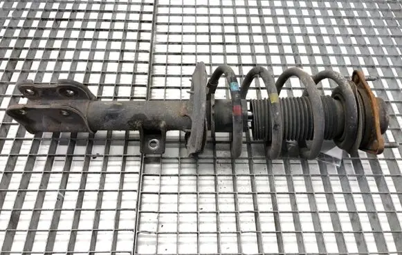 Hyundai Santa Fe Front shock absorber/damper 