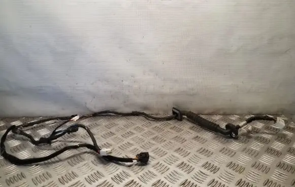 Hyundai Terracan Rear door wiring loom 91642H1011