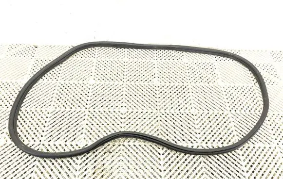 BMW 3 G20 G21 Rubber seal front door (on door) 7433980