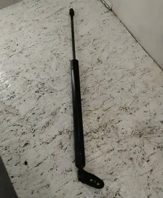 Tailgate/trunk strut/damper