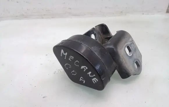 Renault Megane II Rear door lower hinge