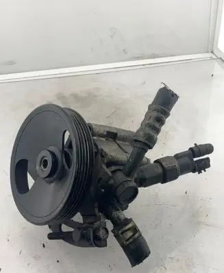 Nissan Almera N16 Power steering pump 7611332111