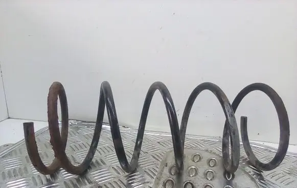 Ford Focus Front coil spring