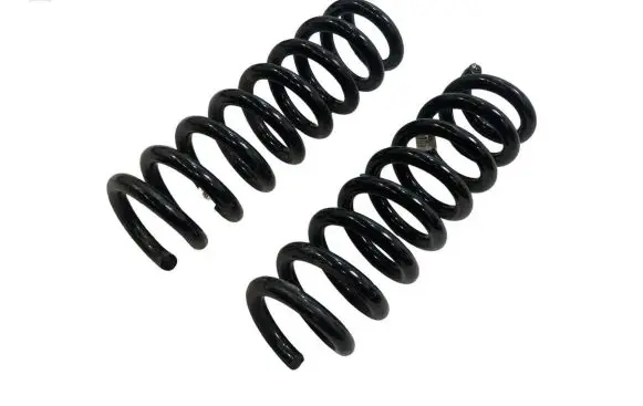 Rear coil spring