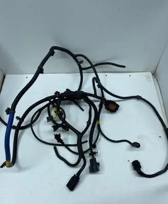 Hyundai Santa Fe Other wiring loom