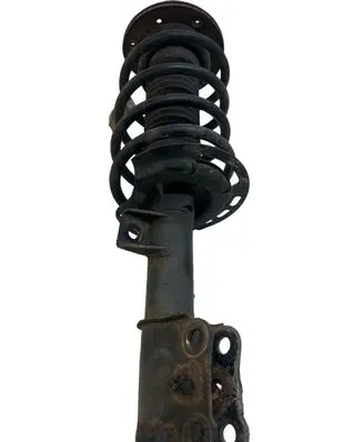 Ford Fusion II Front shock absorber with coil spring DG9C5310FNB