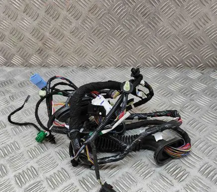 Tesla Model 3 Front door wiring loom 306795702C