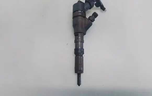 Peugeot 406 Fuel injector 0445110076