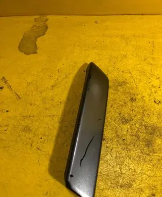 Land Rover Range Rover Sport L320 Rear door handle cover EJE500131XXX