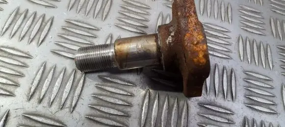 Renault Clio III Stub axle 