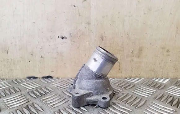 Thermostat/thermostat housing