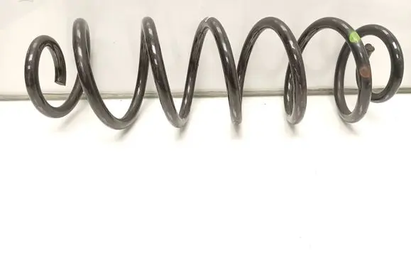 Rear coil spring