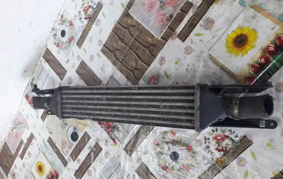 Fiat Punto (199) Intercooler radiator