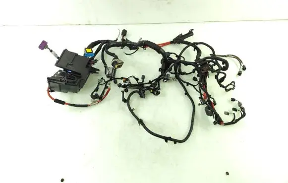 Engine installation wiring loom